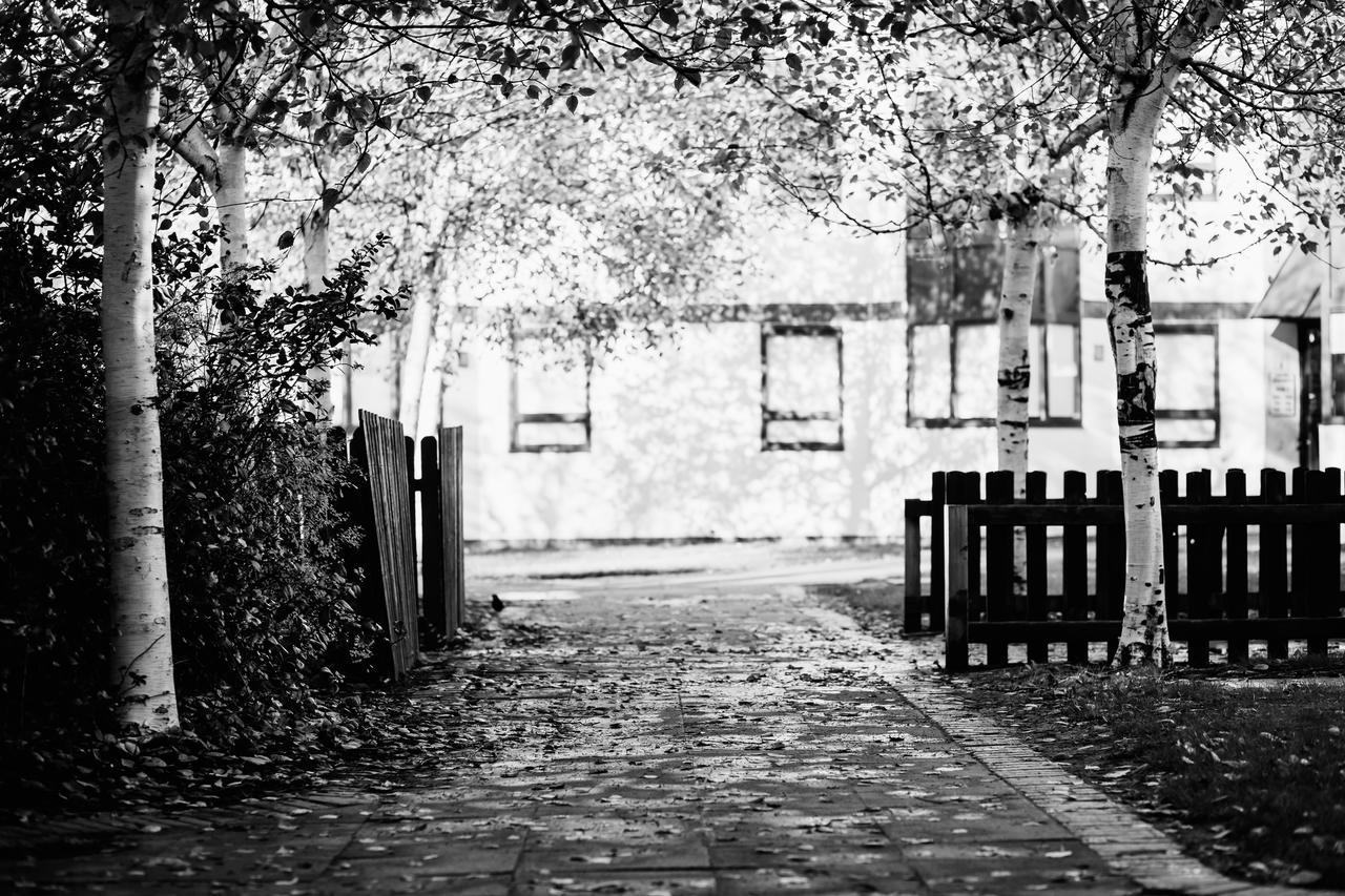 Dcu Larkfield Lejlighed Dublin Eksteriør billede